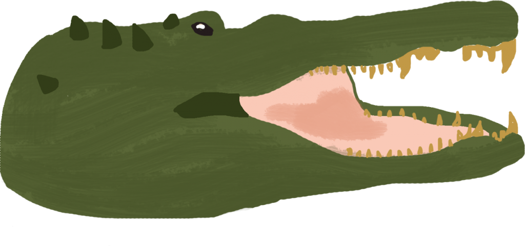 Crocodile