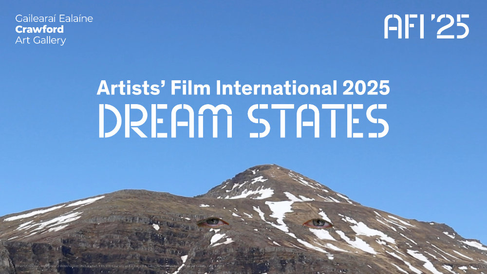 Elinor O’Donovan, Wild Geese 2: Wilder Geese, 2023. Courtesy and © the artist. Selected for AFI’25 by Crawford Art Gallery, Cork, Ireland.