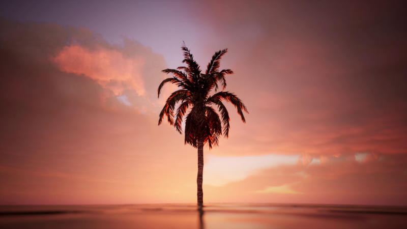 Feint Recollections of a Time Beyond, 2024, fós físeán. Le caoinchead an ealaíontóra.