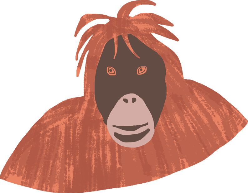 Gorilla