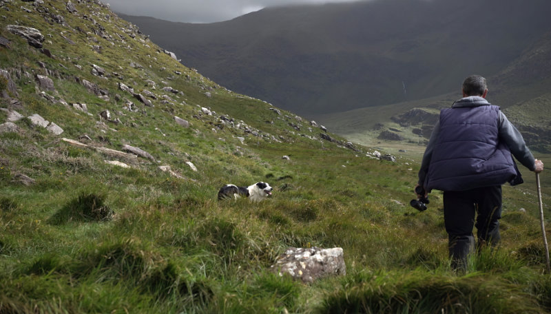 John Joe Fitzgerald’s Farm. Image: Lisa Fingleton / Chris Garrett