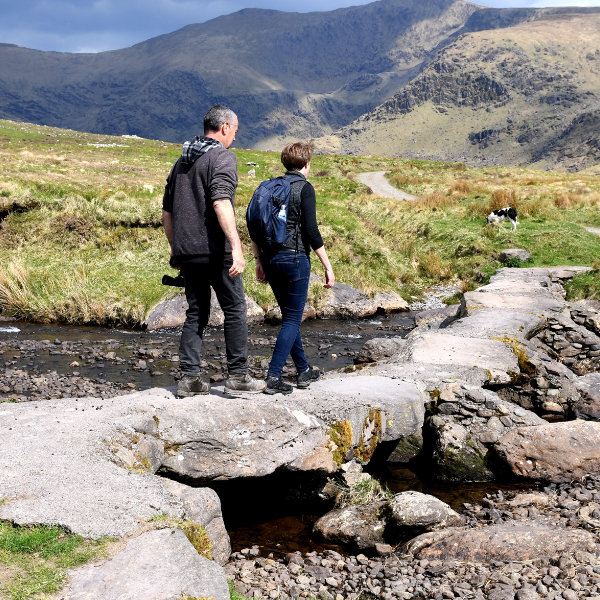 Voices from the fields PR