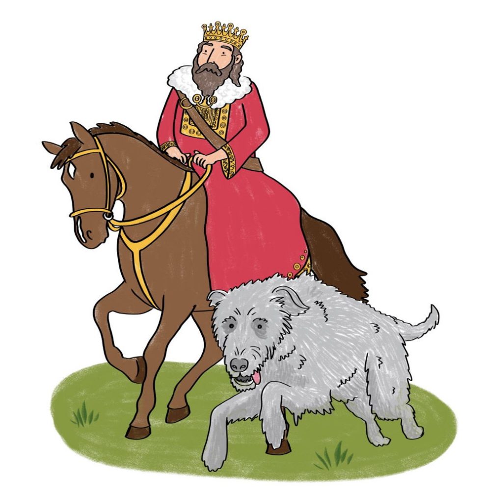 Irish king and wolfhound