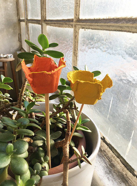 Tulips by the window